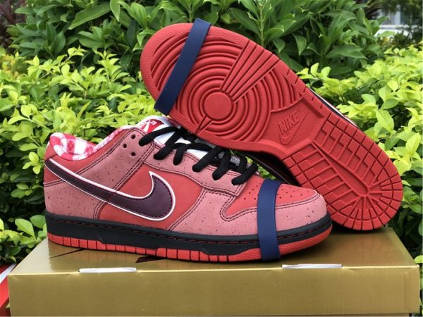 Concepts x Nike SB Dunk Low Red Lobster UK For Sale 313170-661