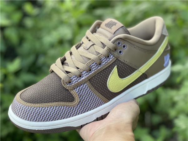 Undefeated x Nike Dunk Low SP Canteen DH3061-200 In Hand