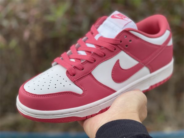 2022 Nike Dunks Low Archeo Pink UK For Sale DD1503-111 in hand